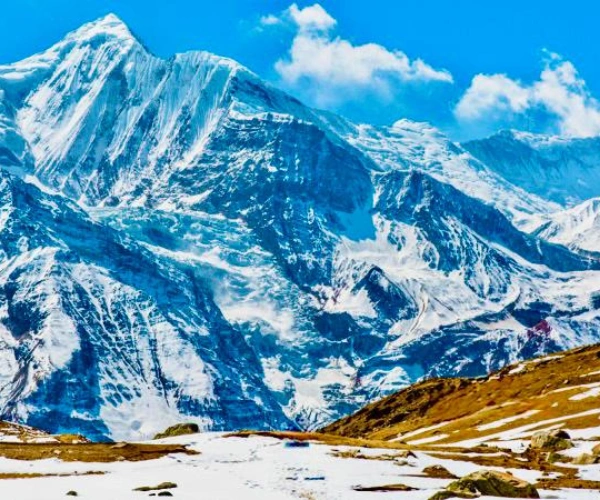 Guide to the Annapurna Region: Flora, Fauna, and Landscapes