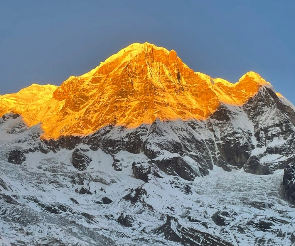 Flora and Fauna on Annapurna Base Camp Trek