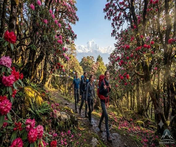 Ghorepani Poon Hill Trek: A Short, Scenic Himalayan Classic