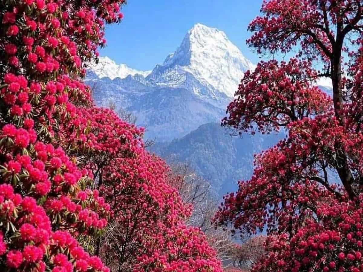 Annapurna Base Camp Trek via Poon Hill