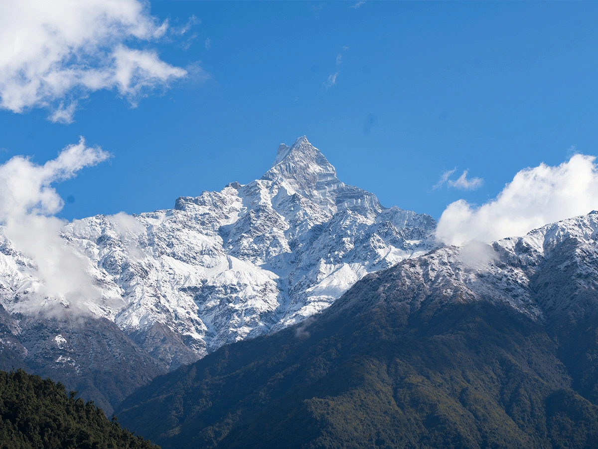 Mardi Himal Trek