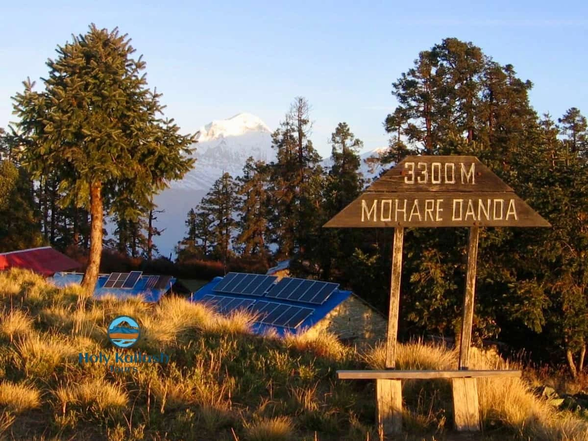 Mohare Danda Trek
