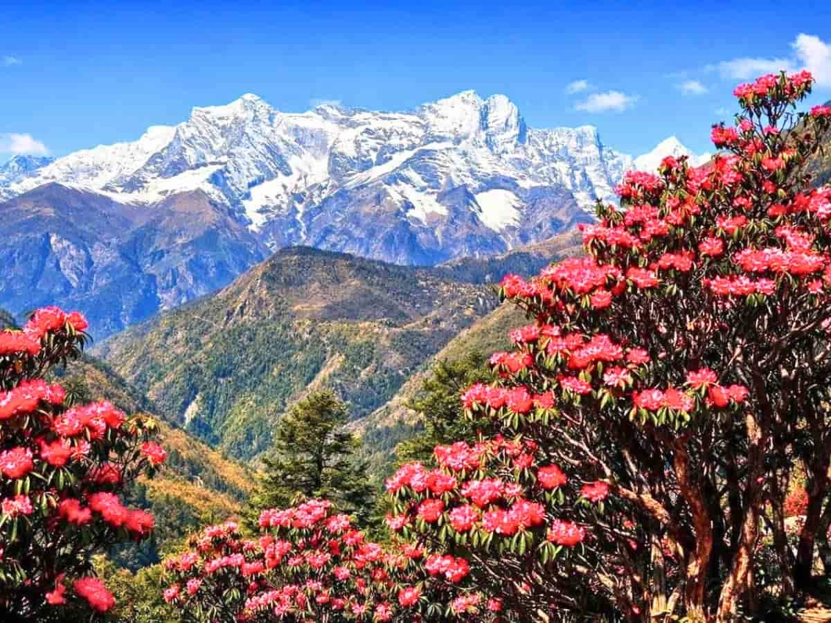 Ghorepani Poon Hill Trek