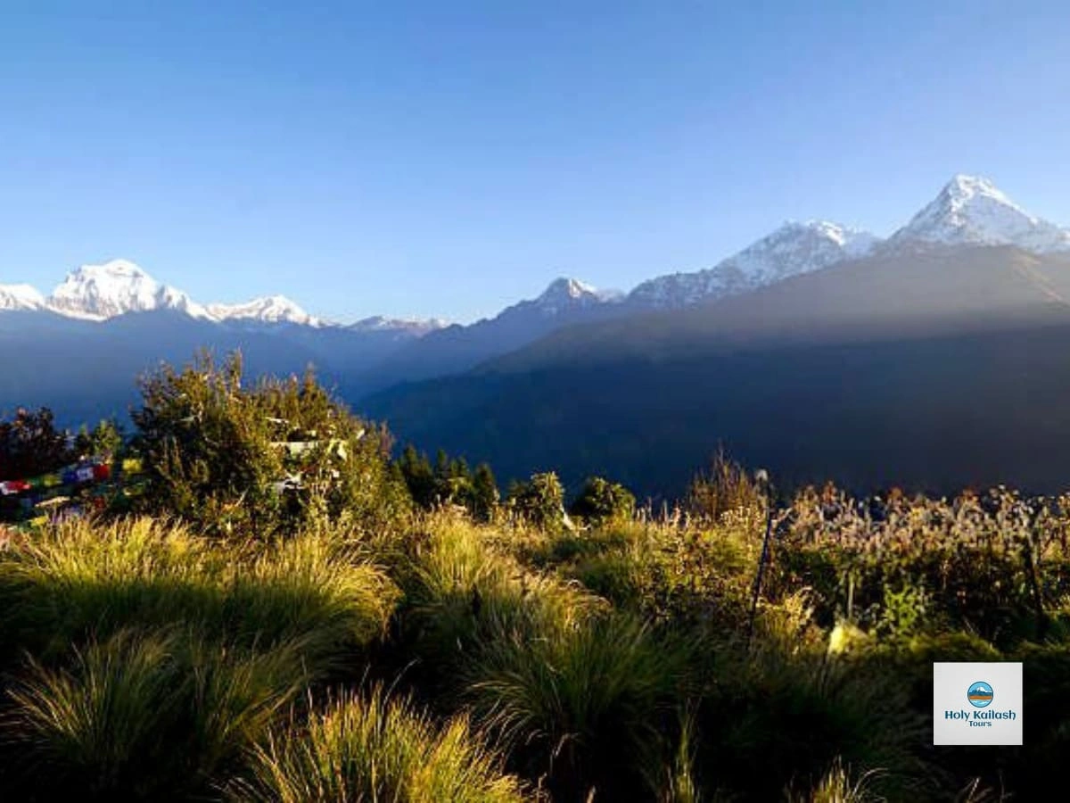 Ghorepani Poon Hill Trek